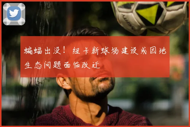 蝙蝠出没！纽卡新球场建设或因地生态问题面临改迁