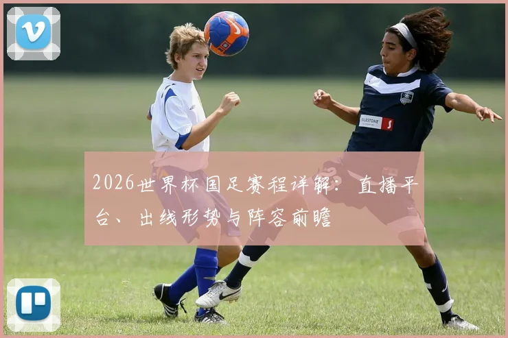 2026世界杯国足赛程详解：直播平台、出线形势与阵容前瞻