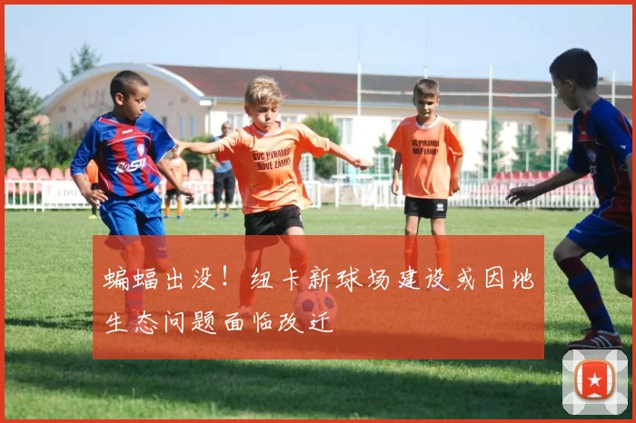 蝙蝠出没！纽卡新球场建设或因地生态问题面临改迁